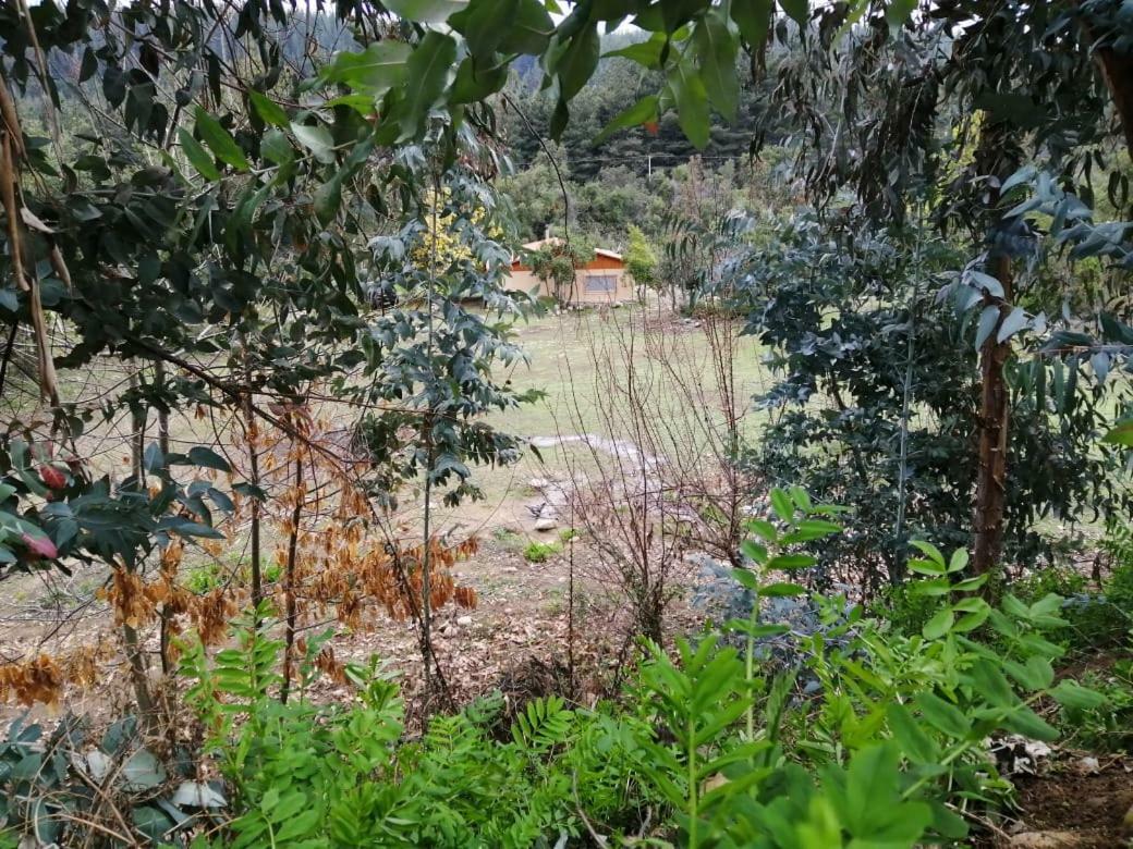 Hotel El Fogon De Rio Claro Exteriér fotografie